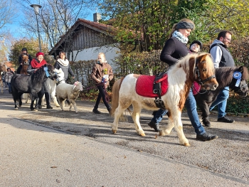 http://www.leonhardiritt-preisendorf.de/files/gimgs/th-6_MonidasSchaf.jpg