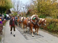 http://www.leonhardiritt-preisendorf.de/files/gimgs/th-34_PHOTO-2018-11-04-16-34-13-4.jpg