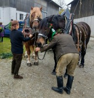 http://www.leonhardiritt-preisendorf.de/files/gimgs/th-34_PHOTO-2018-11-05-07-37-04.jpg