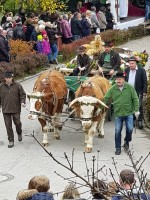 http://www.leonhardiritt-preisendorf.de/files/gimgs/th-34_PHOTO-2018-11-05-09-01-56.jpg