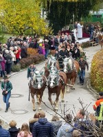 http://www.leonhardiritt-preisendorf.de/files/gimgs/th-34_PHOTO-2018-11-05-09-01-57-1.jpg