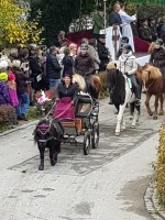 http://www.leonhardiritt-preisendorf.de/files/gimgs/th-34_PHOTO-2018-11-05-09-01-58-1.jpg