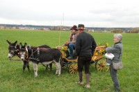http://www.leonhardiritt-preisendorf.de/files/gimgs/th-36_IMG_6966.jpg