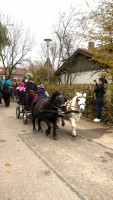 http://www.leonhardiritt-preisendorf.de/files/gimgs/th-43_07d32ea6-d22c-423f-8bbb-b2bdca78ee43_v2.jpg