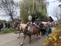 http://www.leonhardiritt-preisendorf.de/files/gimgs/th-43_080a7d46-6179-4d2a-a581-e87f8fb88de3_v2.jpg