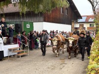 http://www.leonhardiritt-preisendorf.de/files/gimgs/th-43_140d7c7f-f8d7-4e1d-8e69-97e1450435ef_v2.jpg
