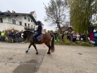 http://www.leonhardiritt-preisendorf.de/files/gimgs/th-43_18c75007-743f-4b04-9a56-e75290667788_v2.jpg