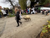 http://www.leonhardiritt-preisendorf.de/files/gimgs/th-43_1b34755c-e012-4f17-99f8-a1716b3c5c81_v2.jpg