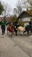 http://www.leonhardiritt-preisendorf.de/files/gimgs/th-43_1f694e4c-1621-4f58-9126-b06059f78138_v2.jpg