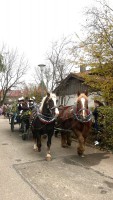 http://www.leonhardiritt-preisendorf.de/files/gimgs/th-43_228f60d9-3780-4d6e-9762-9dcbe0f48f6f_v2.jpg