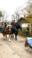 http://www.leonhardiritt-preisendorf.de/files/gimgs/th-43_343d905d-3fe8-433a-a490-10fde47a3249.jpg