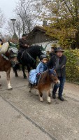 http://www.leonhardiritt-preisendorf.de/files/gimgs/th-43_3e682705-1e67-465d-8461-c2d6e028c0fd_v2.jpg