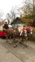 http://www.leonhardiritt-preisendorf.de/files/gimgs/th-43_5c271f43-e2bb-45e2-8912-243188fbc868_v2.jpg