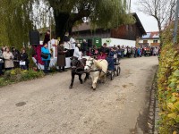http://www.leonhardiritt-preisendorf.de/files/gimgs/th-43_62d211b9-9f17-4d97-8d7a-e6de9fb188b9_v2.jpg