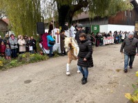 http://www.leonhardiritt-preisendorf.de/files/gimgs/th-43_63f42fcc-5eb5-4aa6-b5aa-f9a3f894f107_v2.jpg