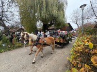 http://www.leonhardiritt-preisendorf.de/files/gimgs/th-43_82a04ec7-2ef7-4e92-9a56-cb6cc4b1657f_v2.jpg