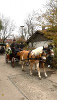 http://www.leonhardiritt-preisendorf.de/files/gimgs/th-43_86f4be26-f98d-4b18-8b95-ae1c49101ff7_v2.jpg