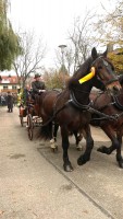 http://www.leonhardiritt-preisendorf.de/files/gimgs/th-43_8a24336b-844a-4dc8-8608-5736f0b6a31e_v2.jpg