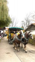 http://www.leonhardiritt-preisendorf.de/files/gimgs/th-43_8df5c6cc-bc40-4541-a838-4a6bcd27fd3f_v2.jpg