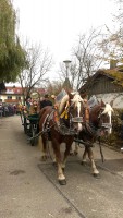 http://www.leonhardiritt-preisendorf.de/files/gimgs/th-43_99d3e197-587b-4edb-baa4-c165c07f88b3_v2.jpg