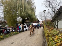http://www.leonhardiritt-preisendorf.de/files/gimgs/th-43_9b569115-6c67-410c-82b9-a7f12966ca1a_v2.jpg