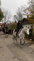 http://www.leonhardiritt-preisendorf.de/files/gimgs/th-43_f079a150-04c4-478b-9644-dc74e90f2135.jpg