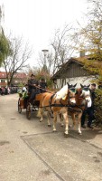 http://www.leonhardiritt-preisendorf.de/files/gimgs/th-43_f777a4a3-7c67-474c-b1e6-eb40a7df0d15.jpg